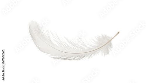 Closeup of a soft and fluffy white feather isolated on transparent background