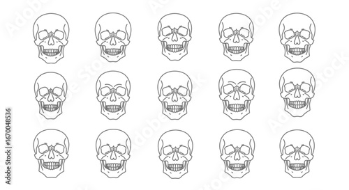 Repeating black and white line art of human skulls creating a minimalist and graphic pattern background