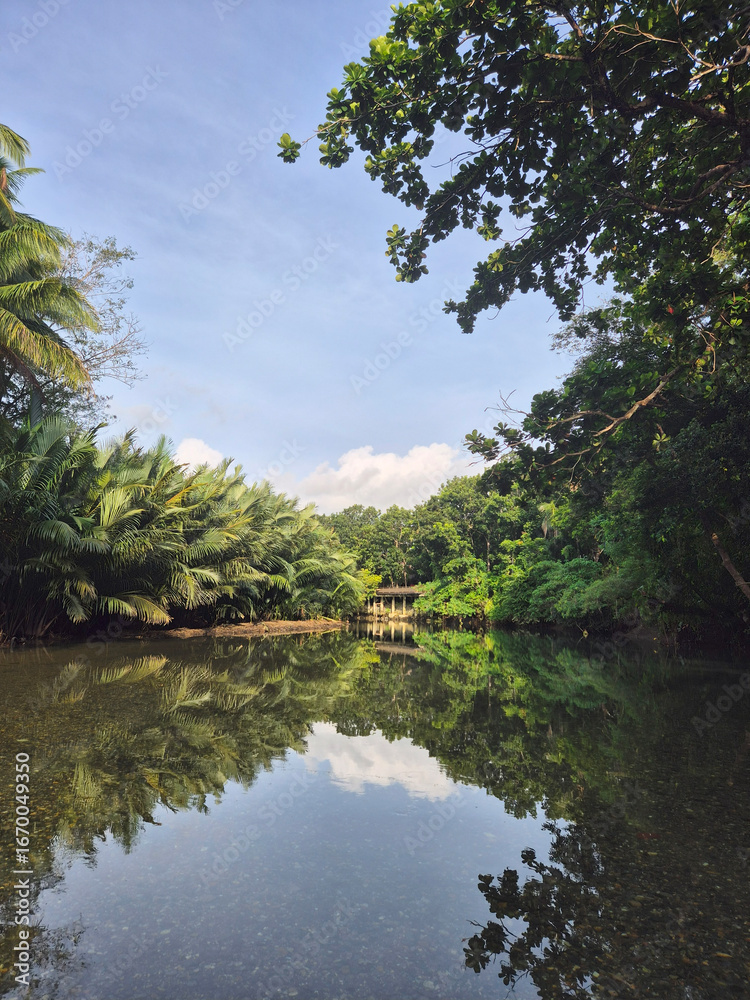 Fototapeta premium Scenic tropical river landscape surrounded by lush palm trees and dense jungle vegetation, calm water reflecting greenery under blue sky and clouds, peaceful exotic paradise nature in Boracay Philippi