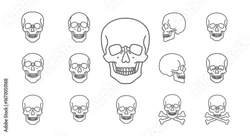 Diverse collection of minimalist human skull graphic elements featuring various anatomical angles and a classic crossbones motif for design projects