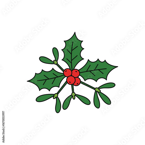 Holly Berries Mistletoe Christmas Vector Illustration design graphic element holiday winter festive decoration red green leaves sprig nature