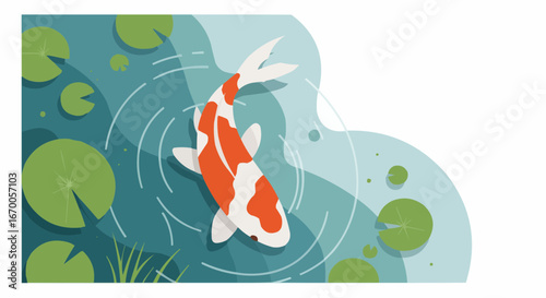 Koi fish swimming in pond surrounded by lily pads and ripples  
