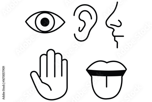 Human senses icon set. Vision eye, smell nose, hearing ear, touch hand, taste mouth with tongue.  Five senses of human nervous system. Five human senses icons. Vision smell hearing touch taste senses 