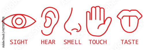 Five human senses editable stroke outline icons set. Flat vector illustration of human senses including ear, eye, nose, lips, and hand in minimalist design style. Five senses of human nervous system.