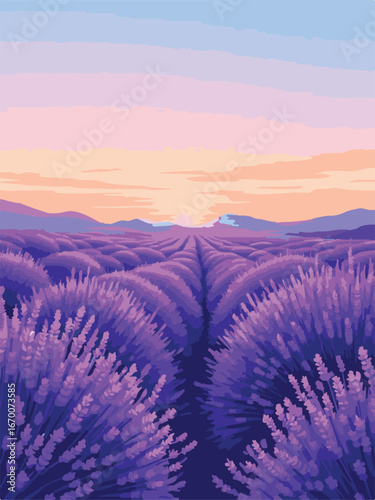Lavender Field in Countryside
