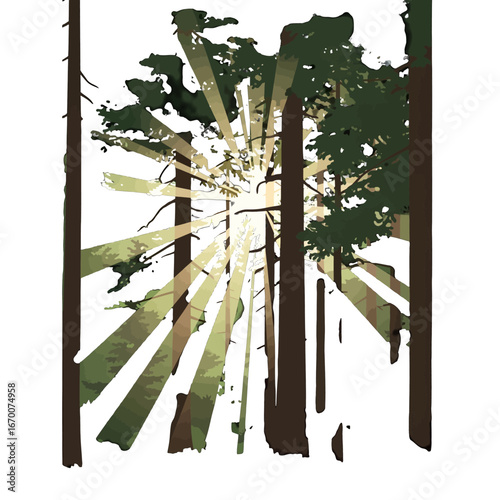 Sunlight Streaming Through Green Trees in a Dense Forest with a White Sky Background Creates a Calming Natural Scene