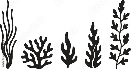 Seaweed silhouette vector, marine plants illustration, underwater coral design, ocean nature clipart, aquatic flora graphic, botanical seaweed art, black silhouette