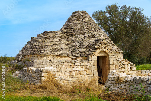 Ancient abandoned trullo in Valle d’Itria, Apulia. Stone walls and conical roof partially ruined, surrounded by wild vegetation under clear blue sky.