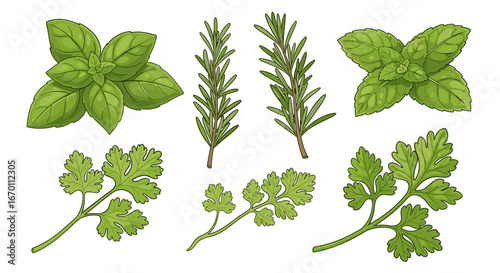An assortment of fresh herbs, including basil, rosemary, mint, and parsley, displayed in an artistic illustration