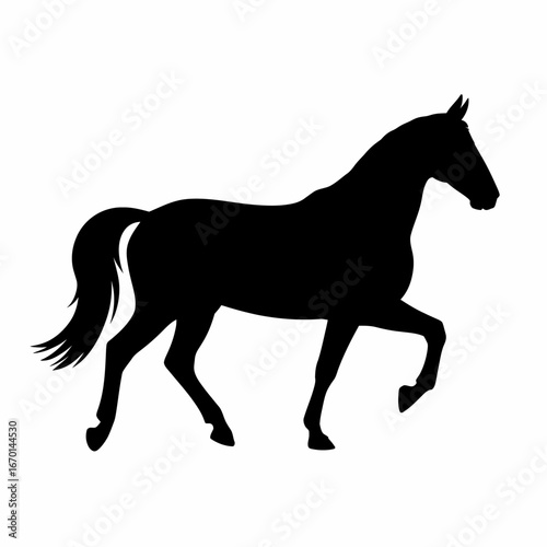 Silhouette of a majestic horse in motion