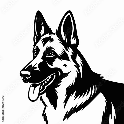 Black and white portrait of a german shepherd dog