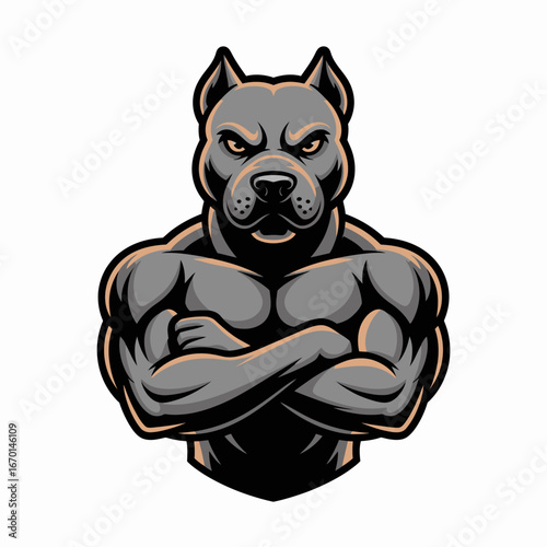 Muscular pitbull dog mascot with crossed arms