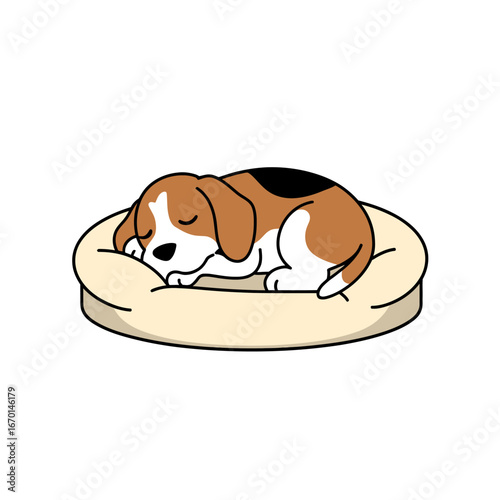 Cute beagle puppy sleeping peacefully on a soft bed
