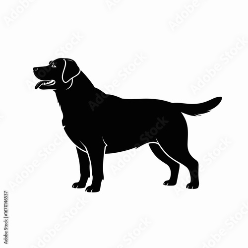 Silhouette of a black labrador retriever dog standing alert