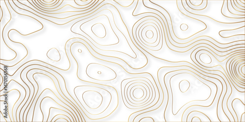 paper cut 3d render topography abstract, beautiful white Background. geometric map relief texture with curved layers and shadow. Realistic papercut decoration textured with wavy vector design.