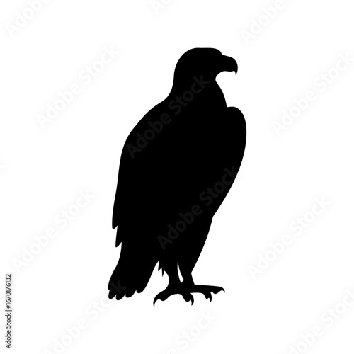 Vászonkép Elegant silhouette of a majestic eagle standing tall against a white backdrop