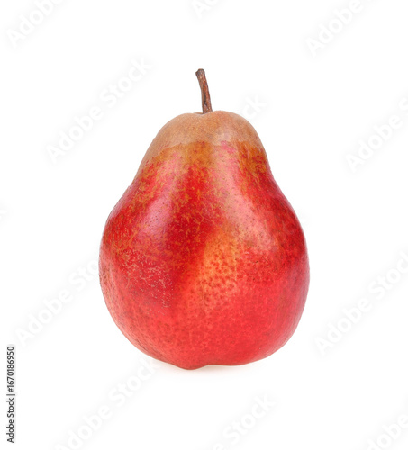 red pear on a white background.