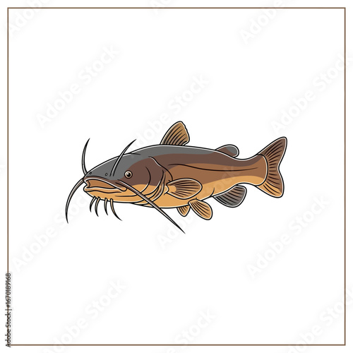 catfish illustration a freshwater fish with barbels swimming in a clean river ideal for fishing guides aquaculture and wildlife conservation