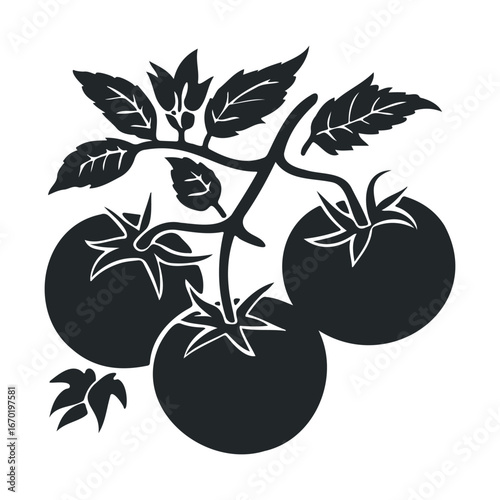 Black silhouette illustration of tomato plant with three tomatoes and leaves