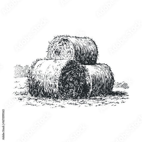 Sketch of three hay bales in a field