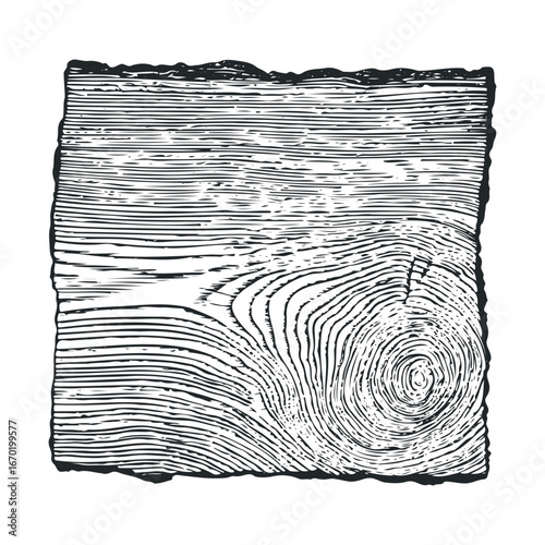 Detailed black and white woodcut pattern with tree rings