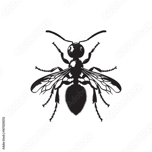 Worker Ant Vector Silhouette, Nature Graphic
