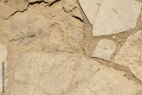 High-resolution image of a ...