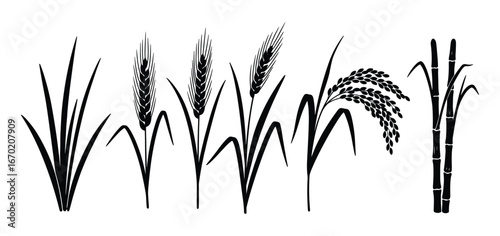 Assorted Black Cereal Crops Plants Silhouettes, Isolated Design Elements, Agriculture Harvest, Farming Field Vector Illustration