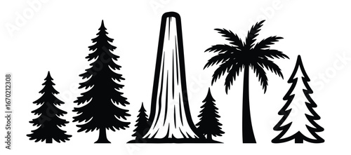 Black Silhouette of Forest Trees with Giant Sequoia, and Palm Tree, Various Sizes and Shapes, Outdoors Nature Scenery Vector Illustration