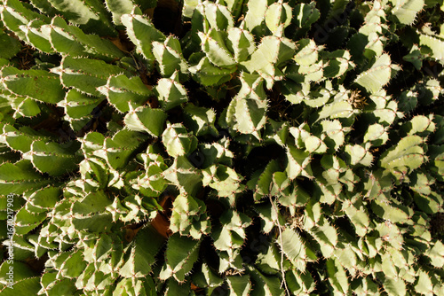 High-resolution image of a ...