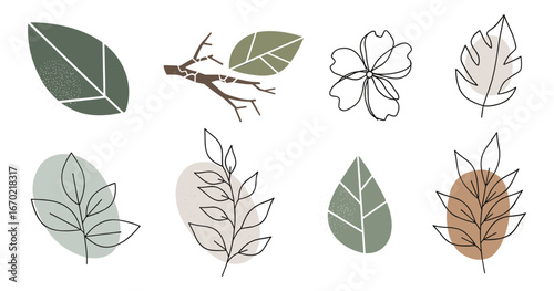 Botanical Illustration Set with Leaves, Twig, and Flower in Minimalist Style, Earthy Tones, and Textured Details, Vector Illustration