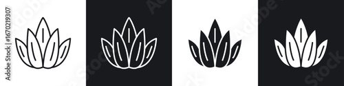 Aloe vera icons graphic vectors