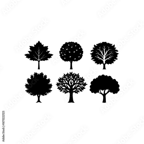 6 different elm tree silhouette vector icons set
