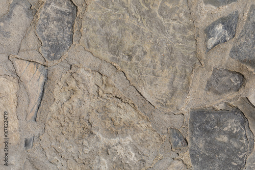 High-resolution image of a ...