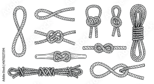 Collection of Various Rope Knots, Nautical Knot Types, Detailed Line Art Illustration, Isolated Black and White Vector Illustration