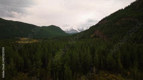 Aerial shot of lush forest and meadow with ponds in mountain valley. Snowy peaks rise in the background, creating a scenic landscape for travel, tourism, and nature projects.