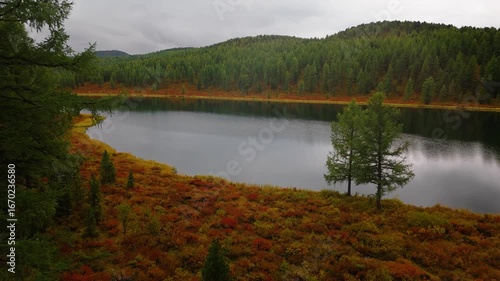Aerial drone view of Kidelu Lake in Altai Republic, Russia. Scenic mountain lake surrounded by forest and autumn colors, perfect for travel, tourism, and nature footage.