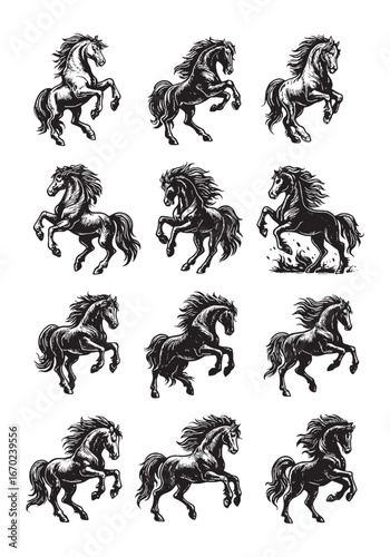 Sequential black-and-white illustrations showing the evolution of the horse from early ancestor to modern form—scientific and artistic timeline.