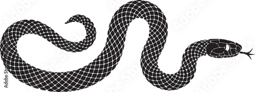 Vector snake silhouette isolated on a white background