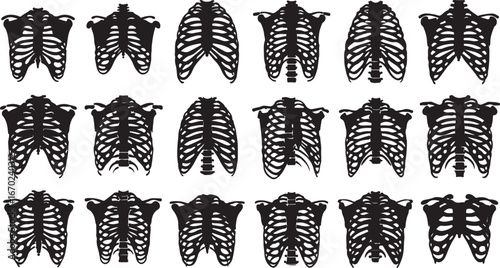 Collection of stylized rib cage graphics anatomical art for creative projects