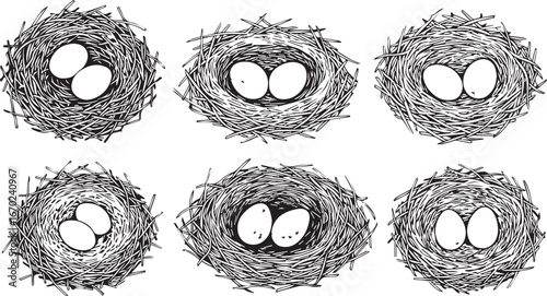 Six detailed sketches of bird nests with eggs symbolizing nature spring new life and growth
