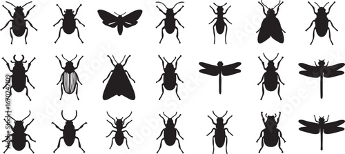 Collection of silhouetted insects including moths bees and dragonflies in a grid arrangement