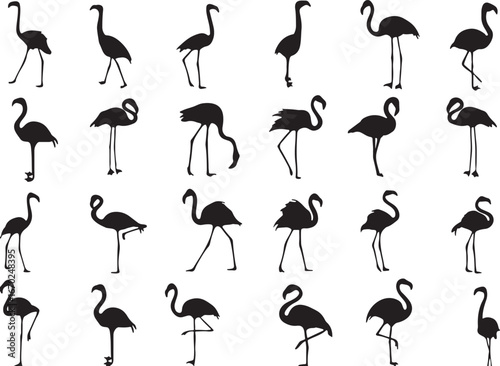 flamingo, silhouette, bird, wildlife, tropical, exotic, pink flamingo, wading bird, standing, walking, flying, feeding, graceful, elegant, slender, long legs, long neck, avian, bird collection, flamin
