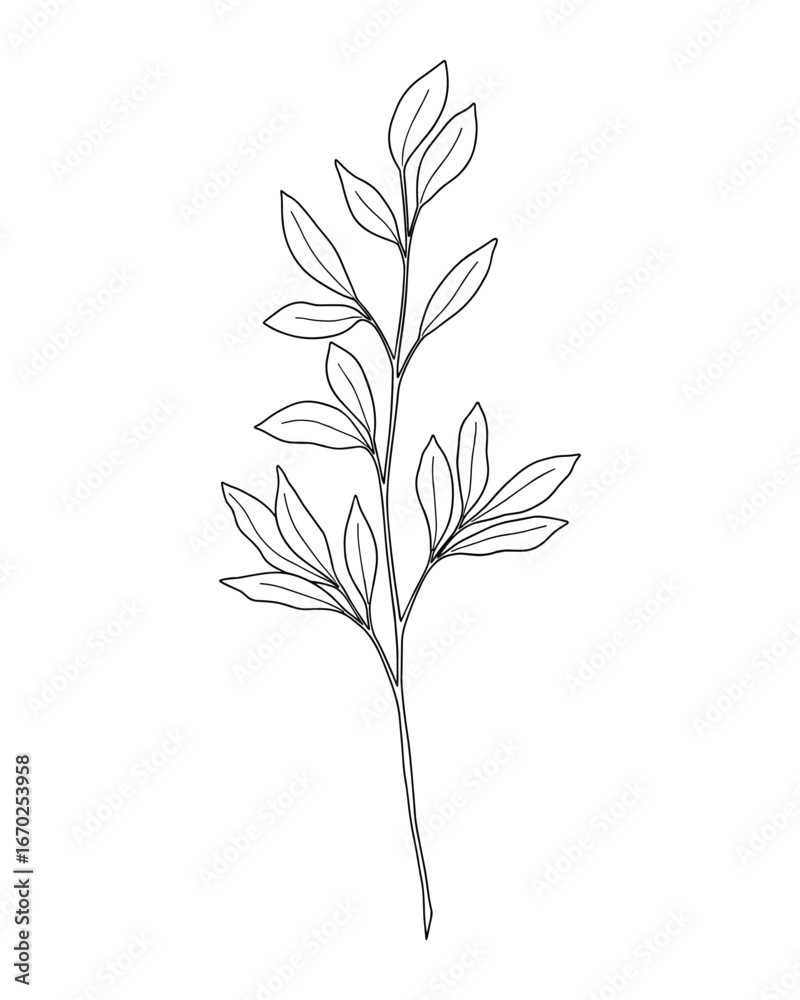 Fototapeta premium Minimalist Botanical Illustration of a Branch with Leaves, Simple Outline Drawing, Black and White Vector Illustration