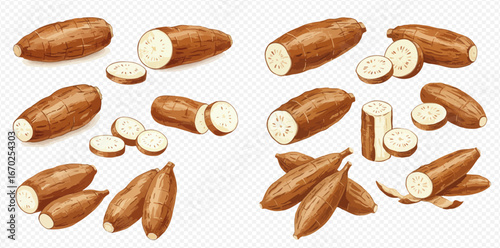 Illustration of cassava roots, whole and sliced, arranged in groups on a transparent background.