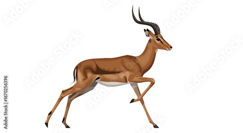 Majestic Impala Antelope in Motion High Resolution Wildlife Photo
