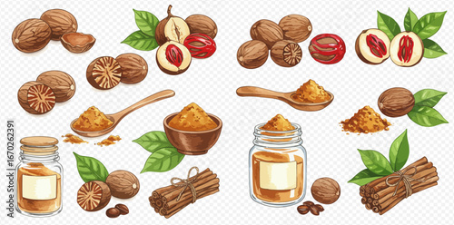Illustration of nutmeg seeds, mace, powder, cinnamon sticks and green leaves, arranged on a transparent background.