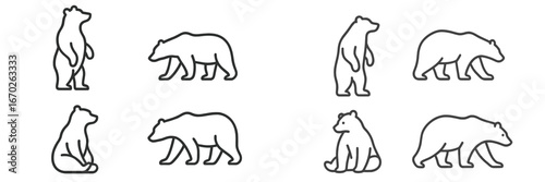 Illustrations of various bear poses in a minimalist style showcasing their movements and features