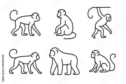 Different monkey poses illustrating various movements and characteristics of the species in a simple artistic style