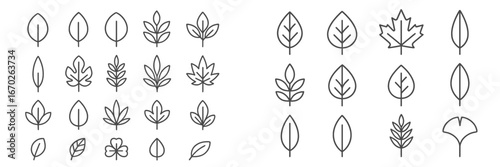Leaf illustrations showcasing various shapes and sizes in a simple design ideal for nature-themed projects